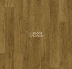 Ковролин Forbo Flotex Vision Naturals 010053 Golden Oak фото 1 | FLOORDEALER